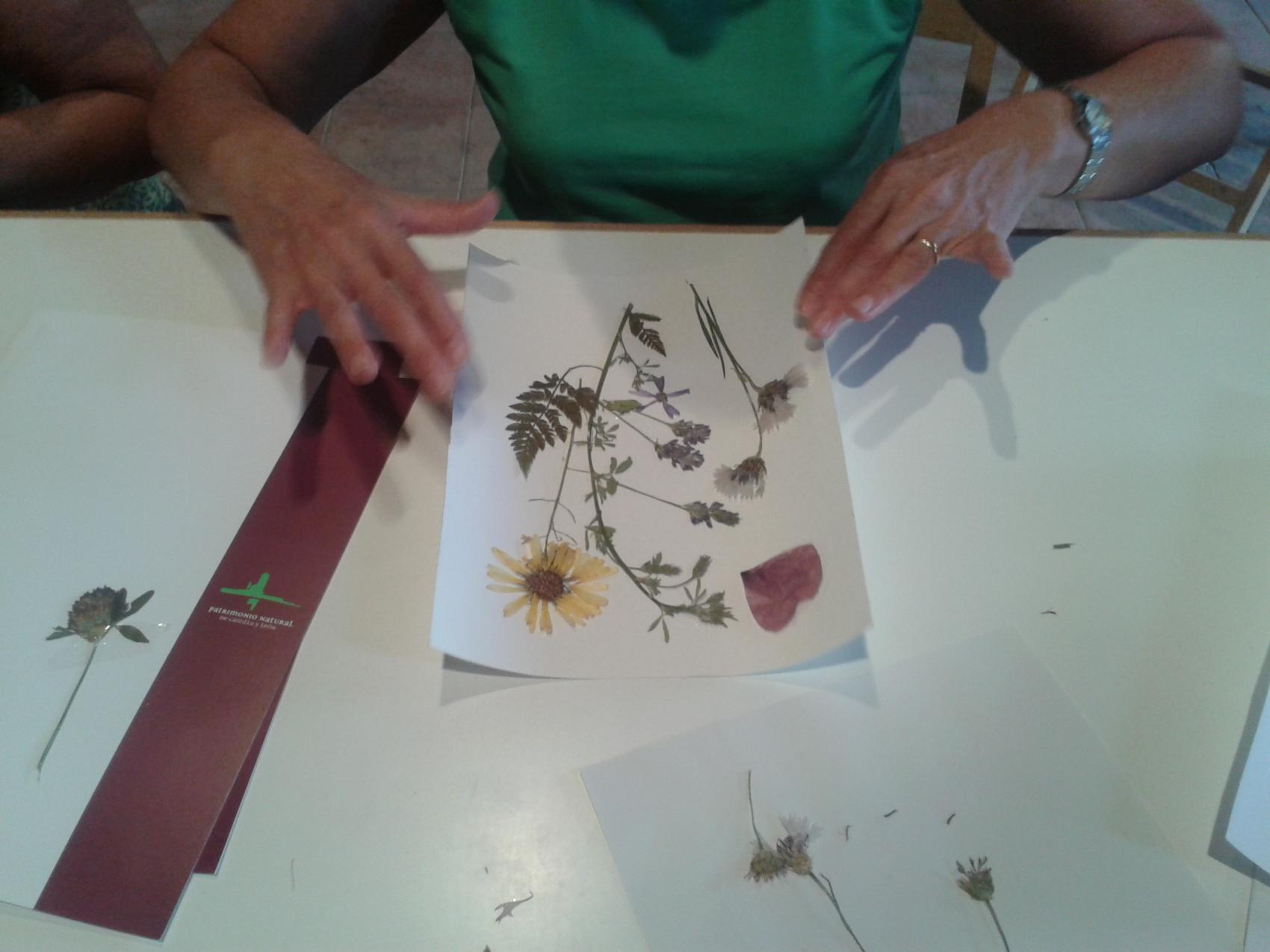 Taller de elaboración cuadro con flores