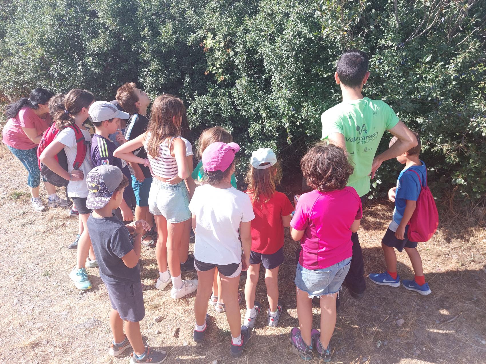 Talleres infantiles "érase una vez..."