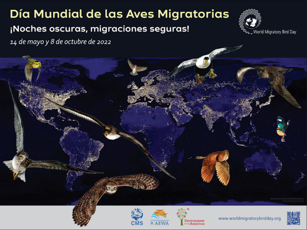 Celebración del día mundial de las aves migratorias