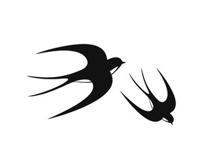 Talleres de educación ambiental