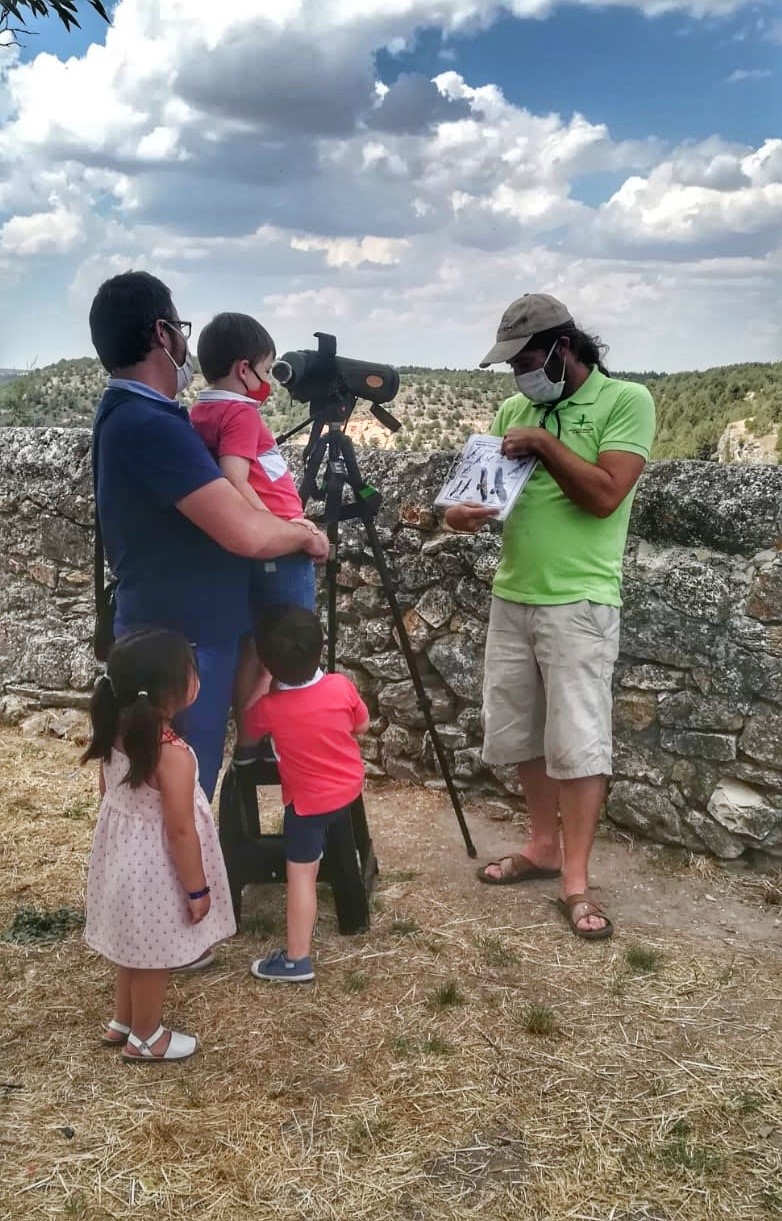 Taller de las aves de pedraza, casa del águila imperial.