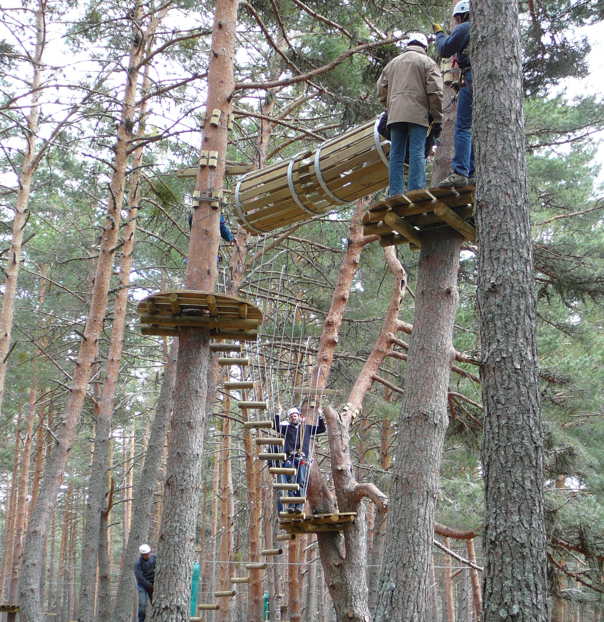 Los Bosques de Aventura, el turismo activo en contacto con la Naturaleza