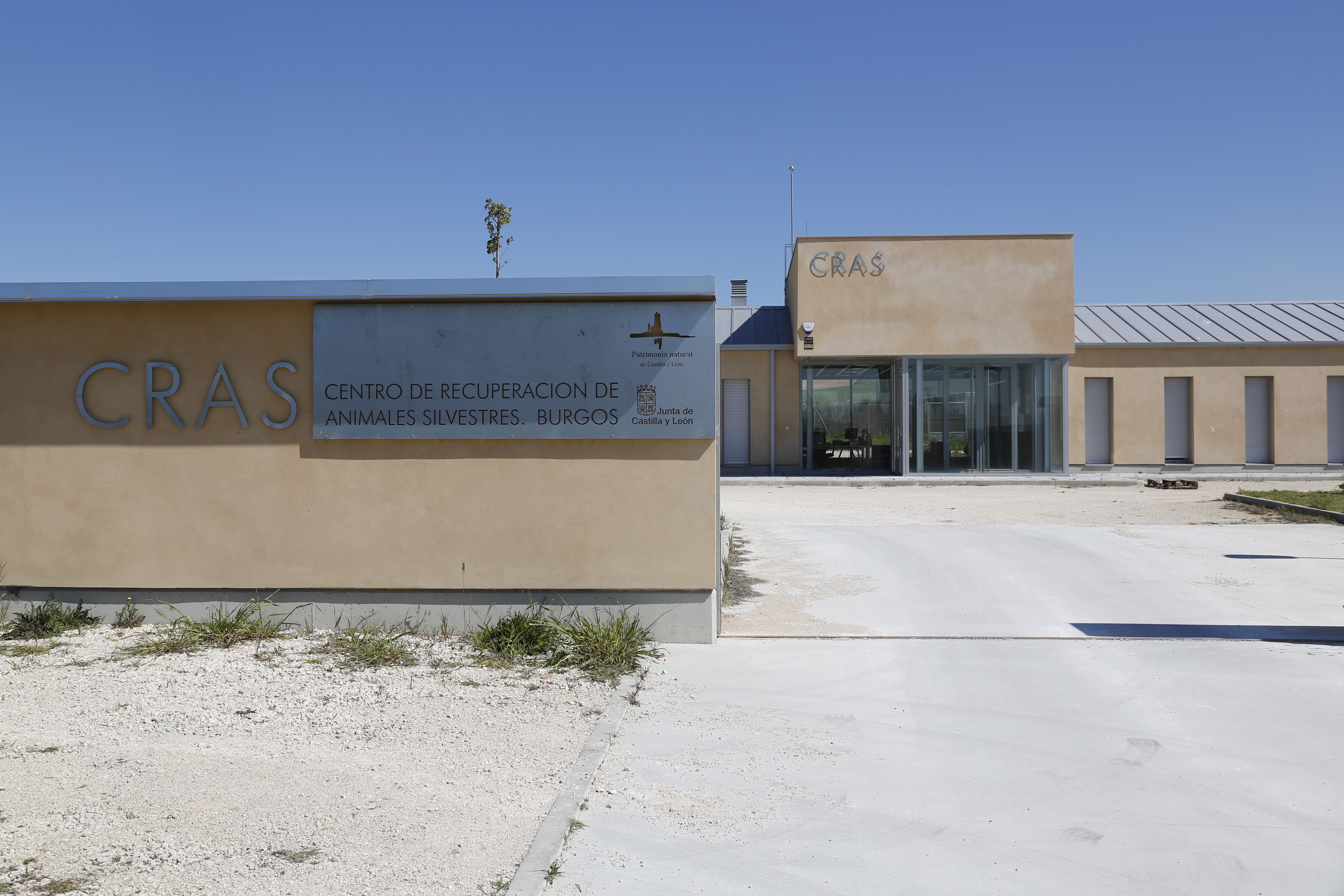 El Centro de Recuperación de Animales Silvestres de Burgos recibió un total de 2.188 ejemplares