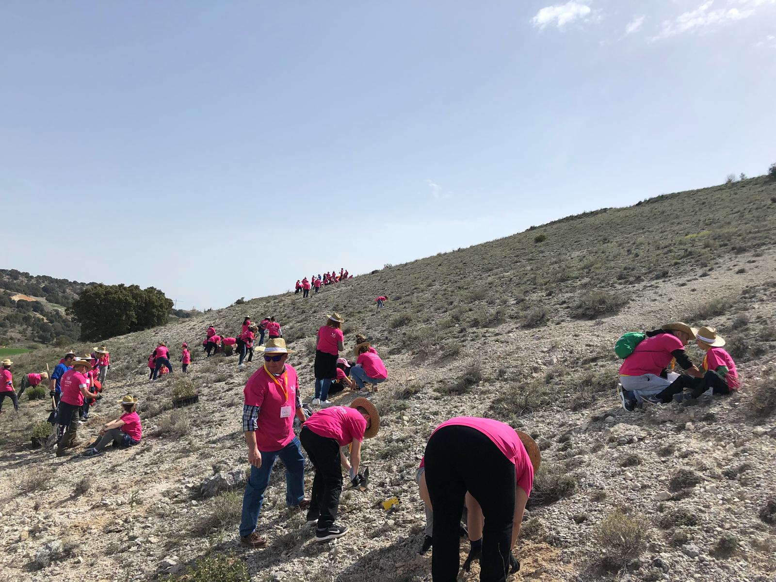Junto con la Fundación Grupo Siro celebramos una jornada ambiental con 150 voluntarios