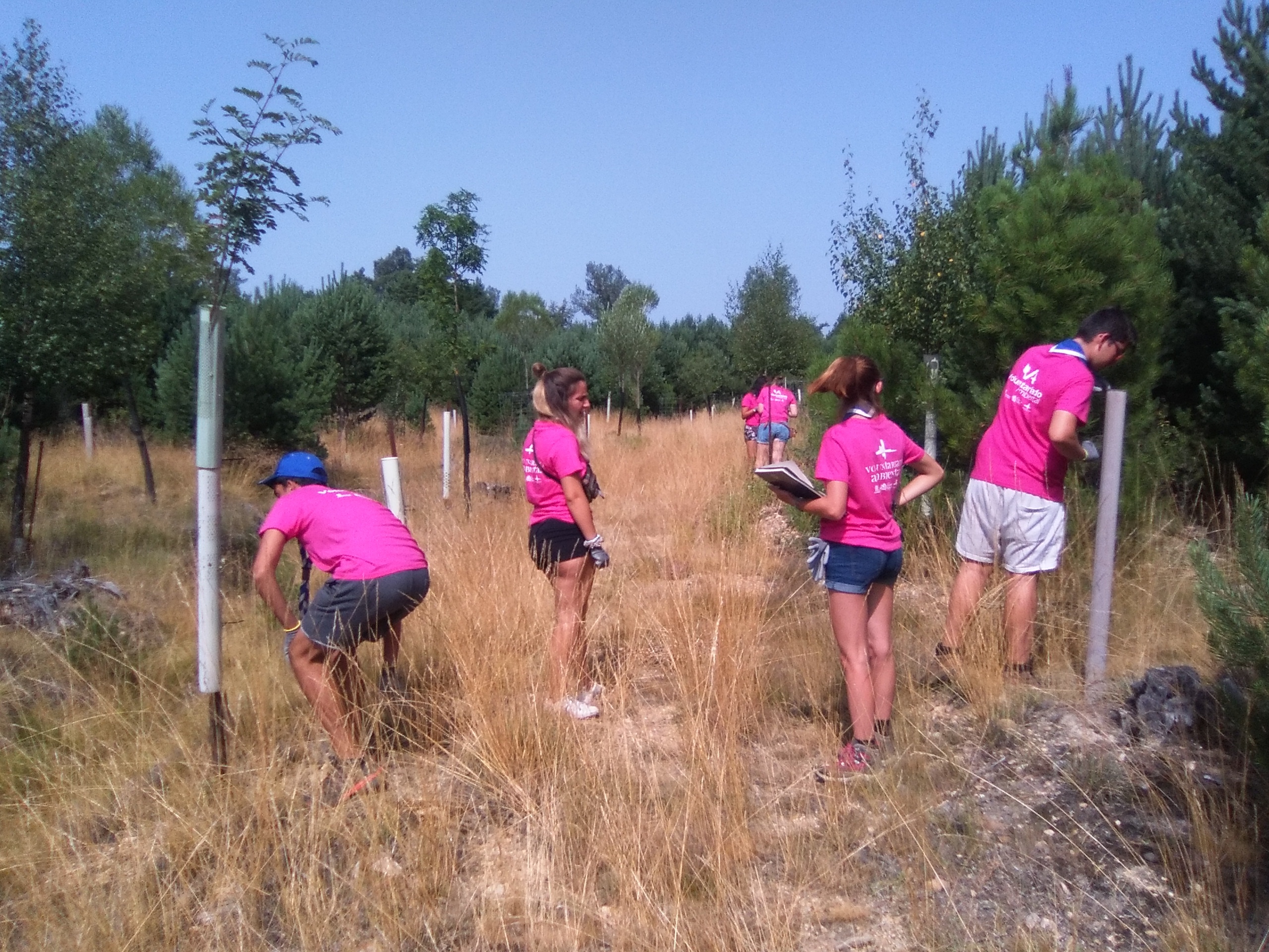 Aumentan un 44% los Voluntarios Ambientales en la Comunidad