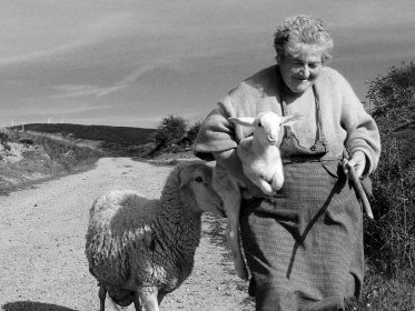 Exposición de fotografía "la soria que se apaga"