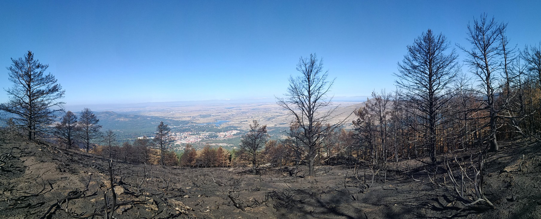 El programa de voluntariado del parque nacional de Guadarrama comienza con las actuaciones en la zona afectada por el incendio de agosto