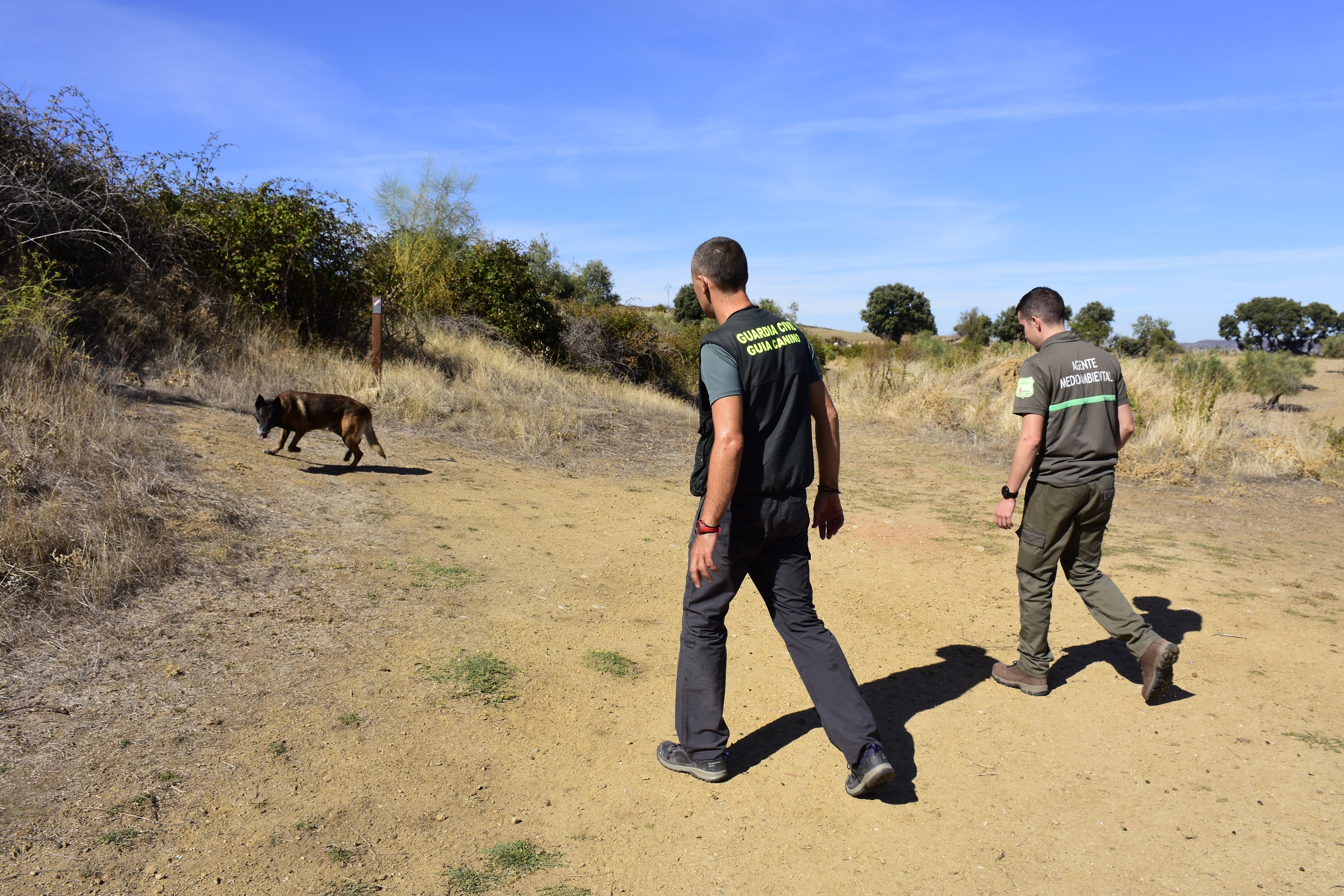 La Guardería Medioambiental de la Junta realiza vigilancia y control del uso ilegal de veneno en la provincia de Zamora