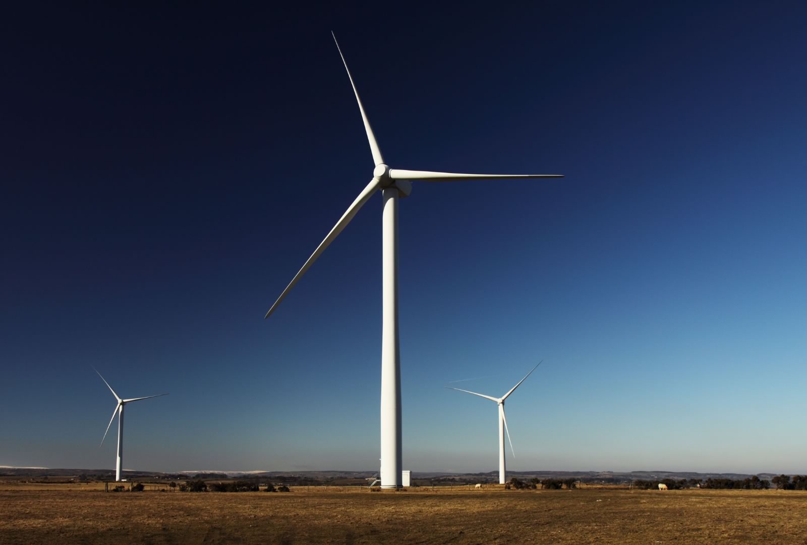 Castilla y León impulsa el liderazgo en tecnología de reciclaje de aerogeneradores aprovechando fondos de nueva generación