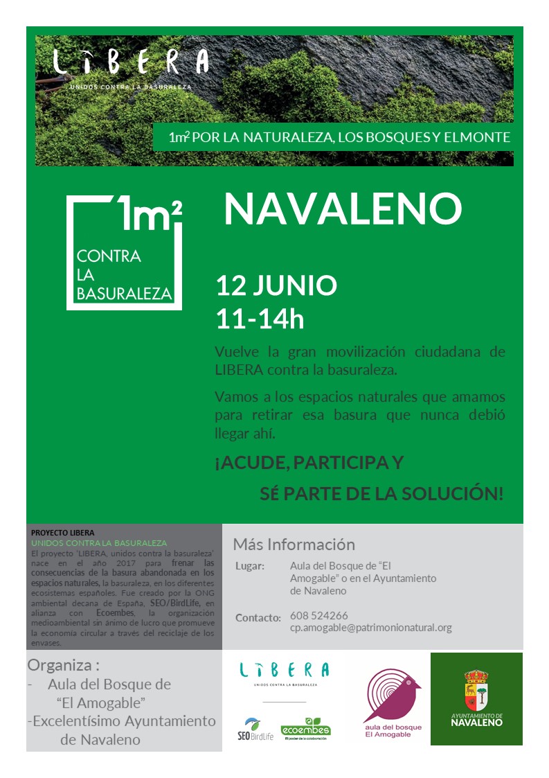 Voluntariado junio 2021