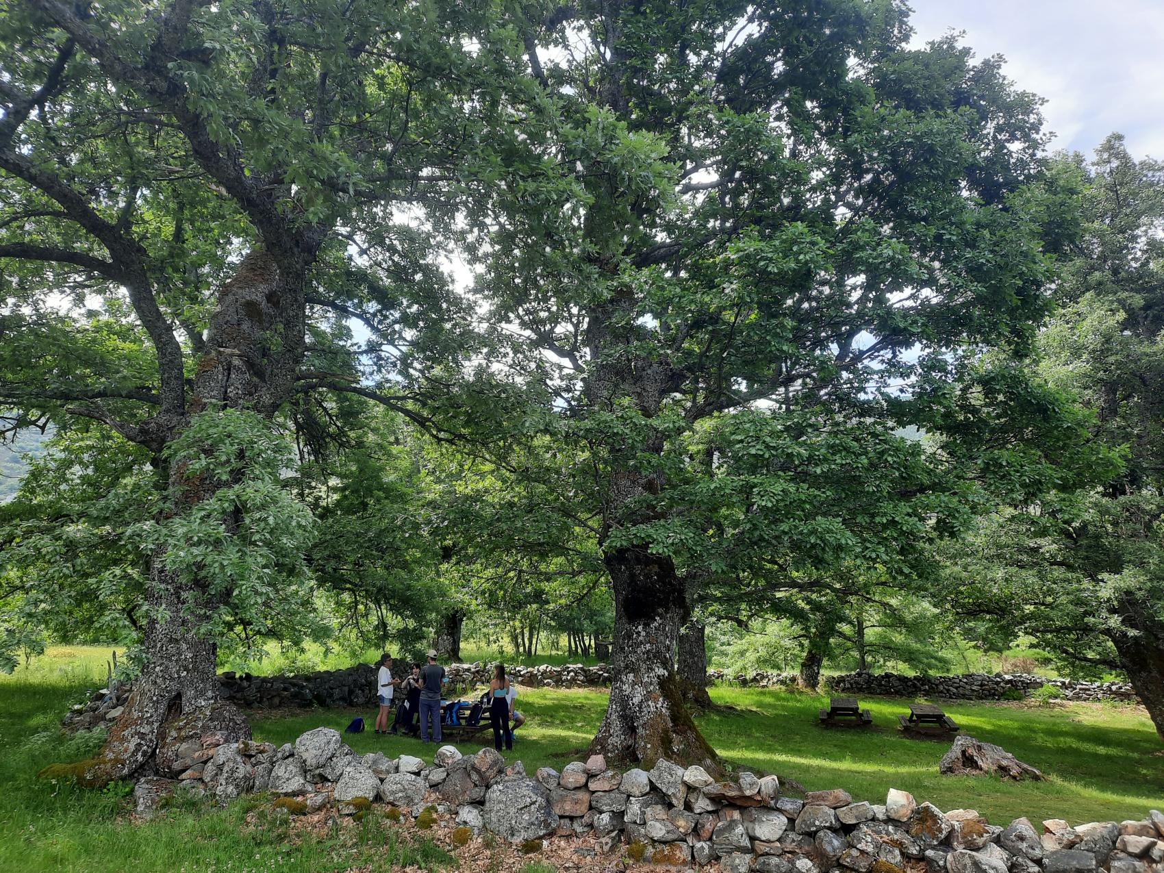 El arroyo murias: biodiversidad y usos tradicionales