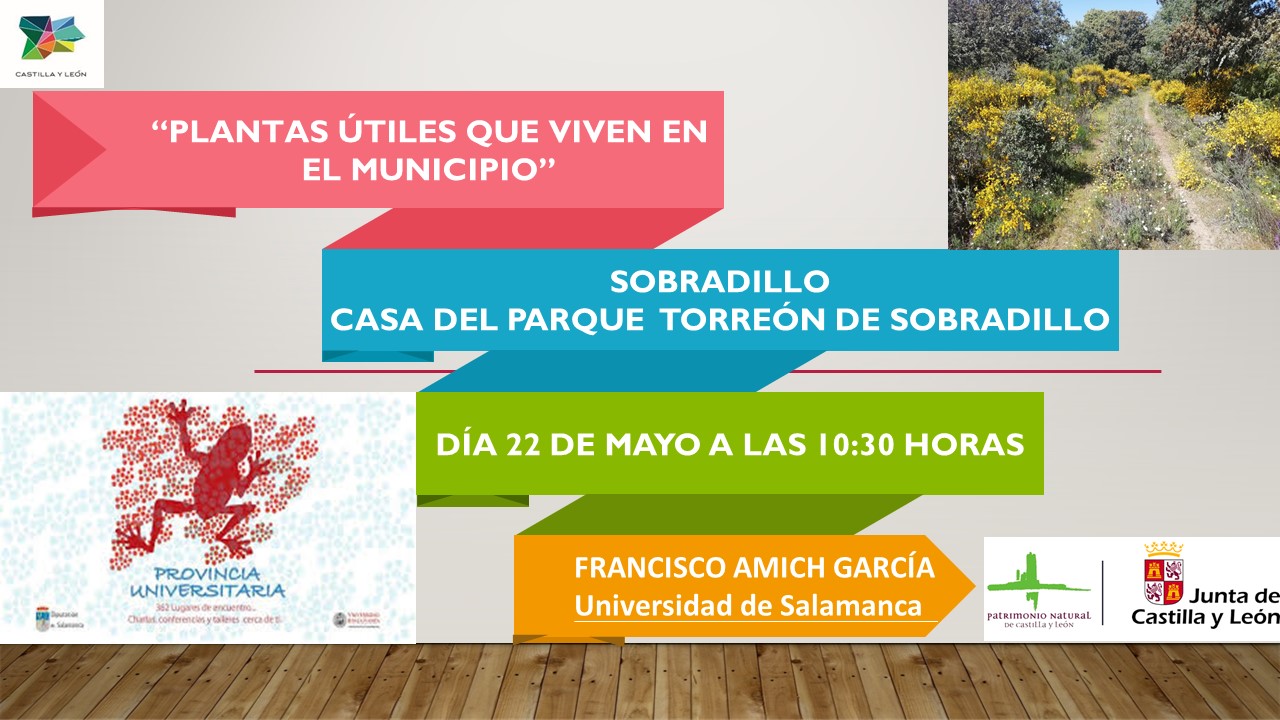 Plantas útiles que viven en el municipio
