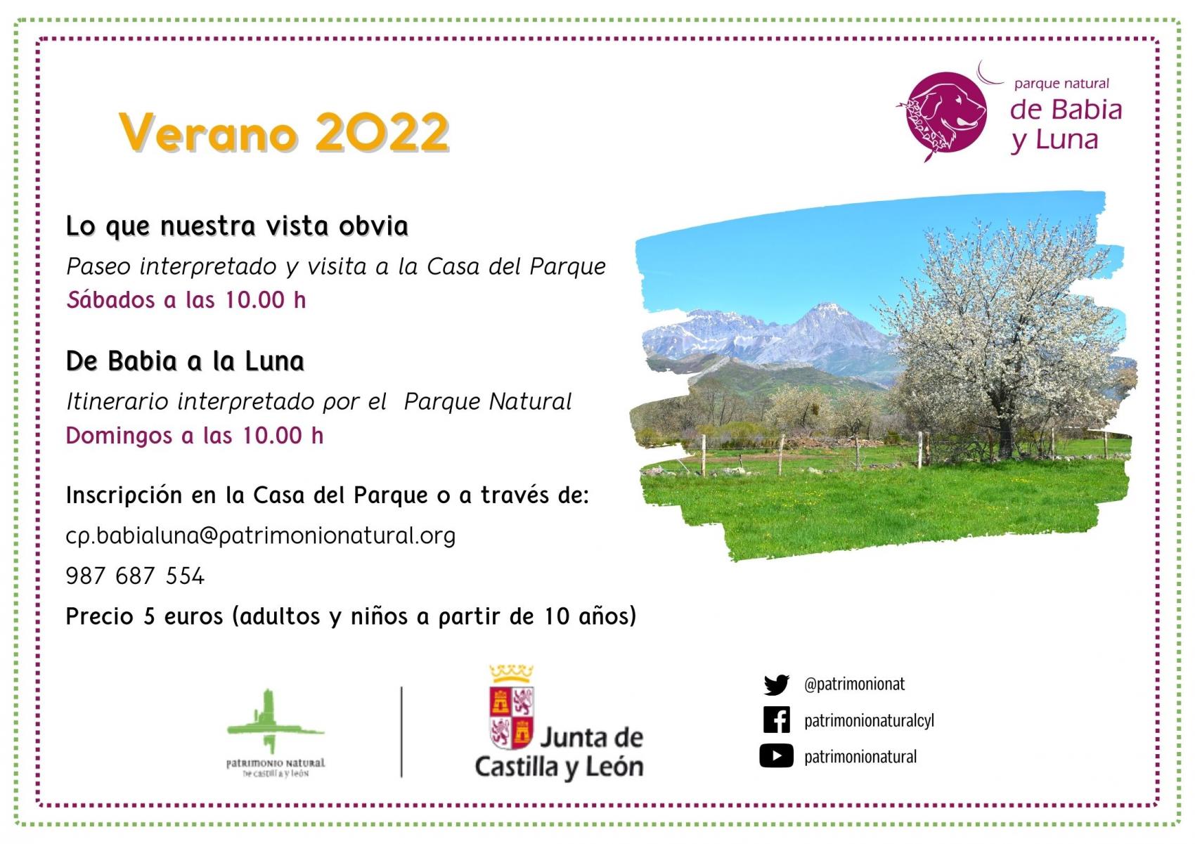 Actividades de verano