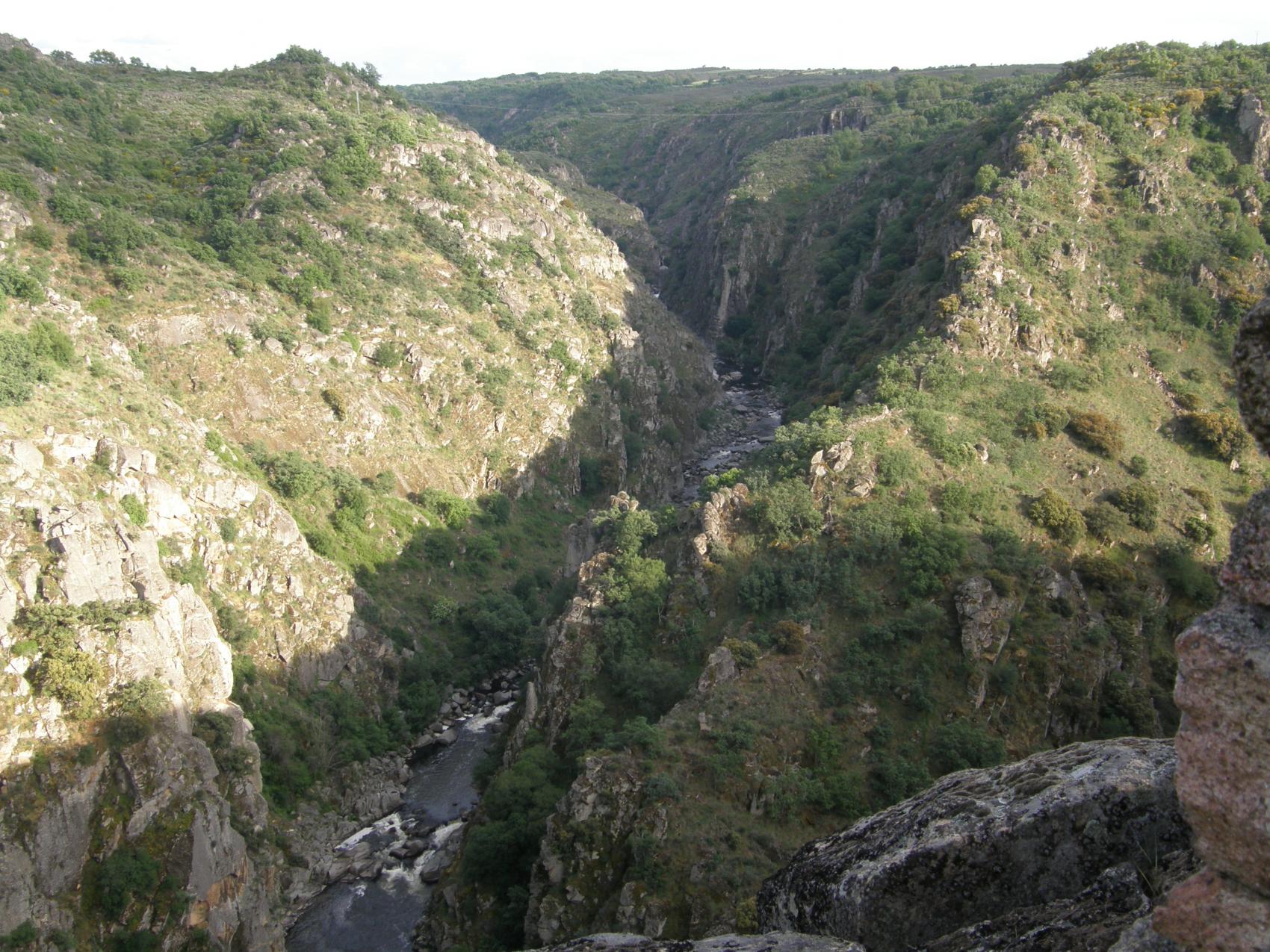 Castro de Saldeana