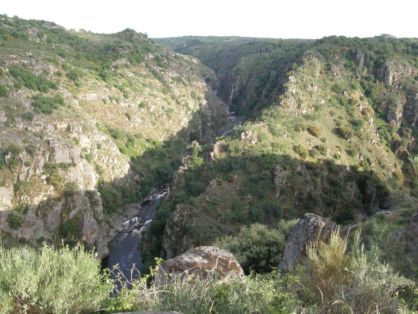 Itinerario guiado al castro de saldeana