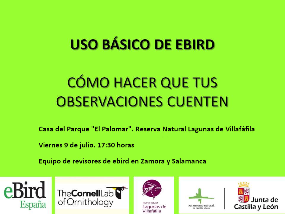 Curso básico de ebird