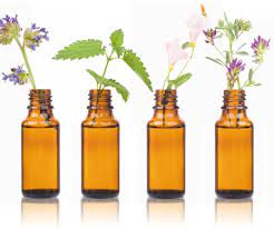 Taller de perfumes naturales y presentación de un libro