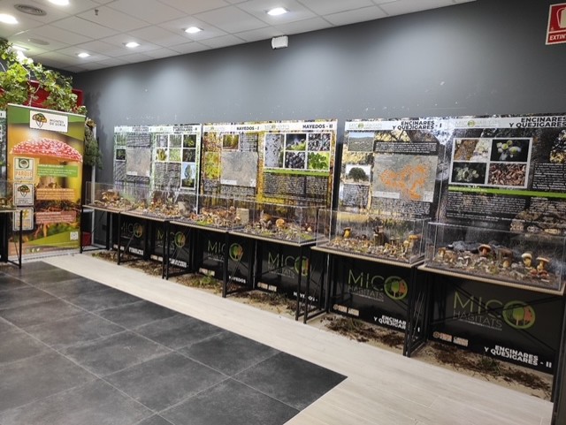 Exposición micohábitats