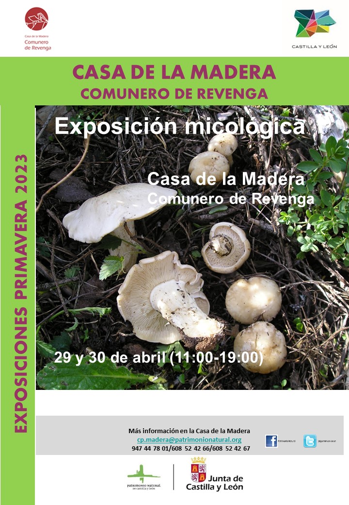 Exposición micológica