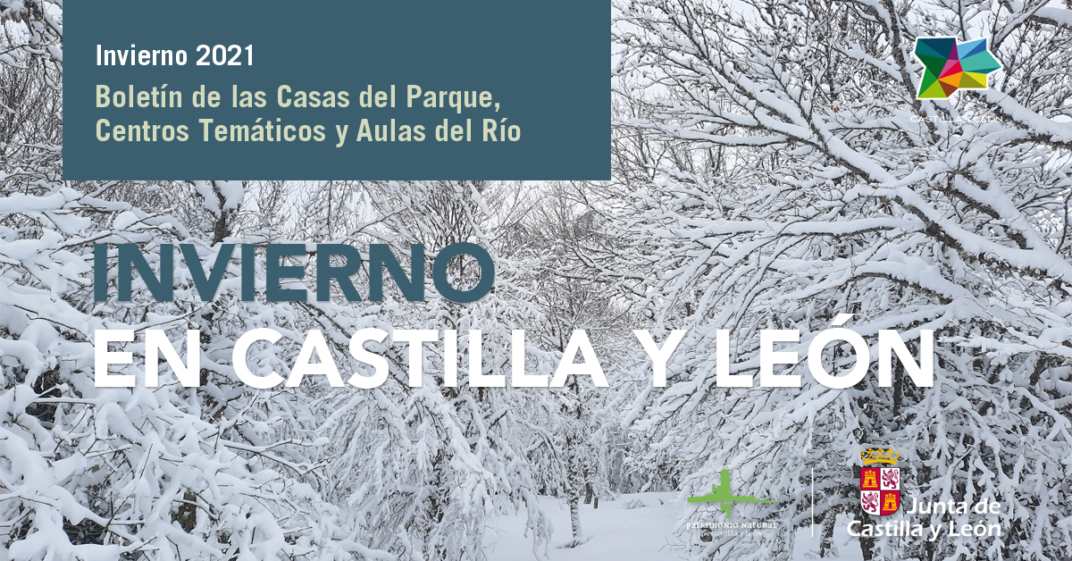 Boletín de actividades - Invierno 2021