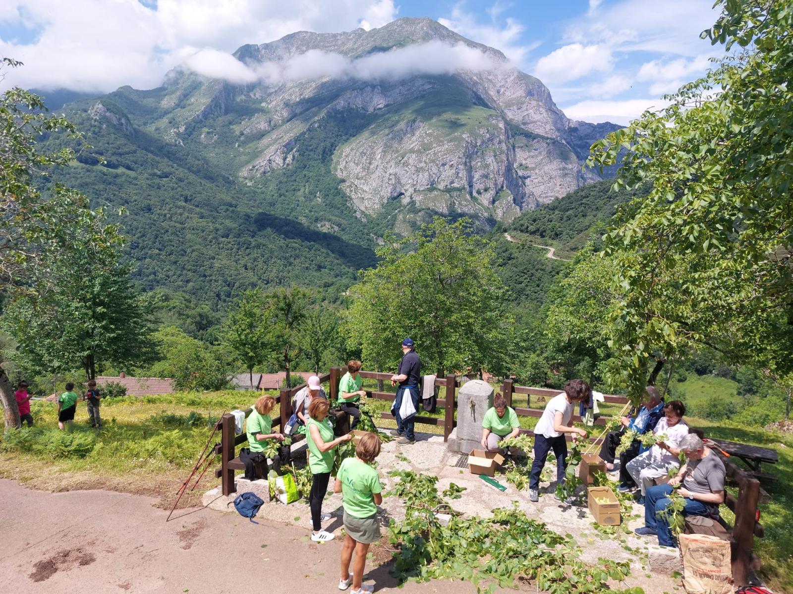 La Junta lanza un amplio programa de Voluntariado Ambiental con más de 115 actividades en su Red de Áreas Naturales Protegidas 