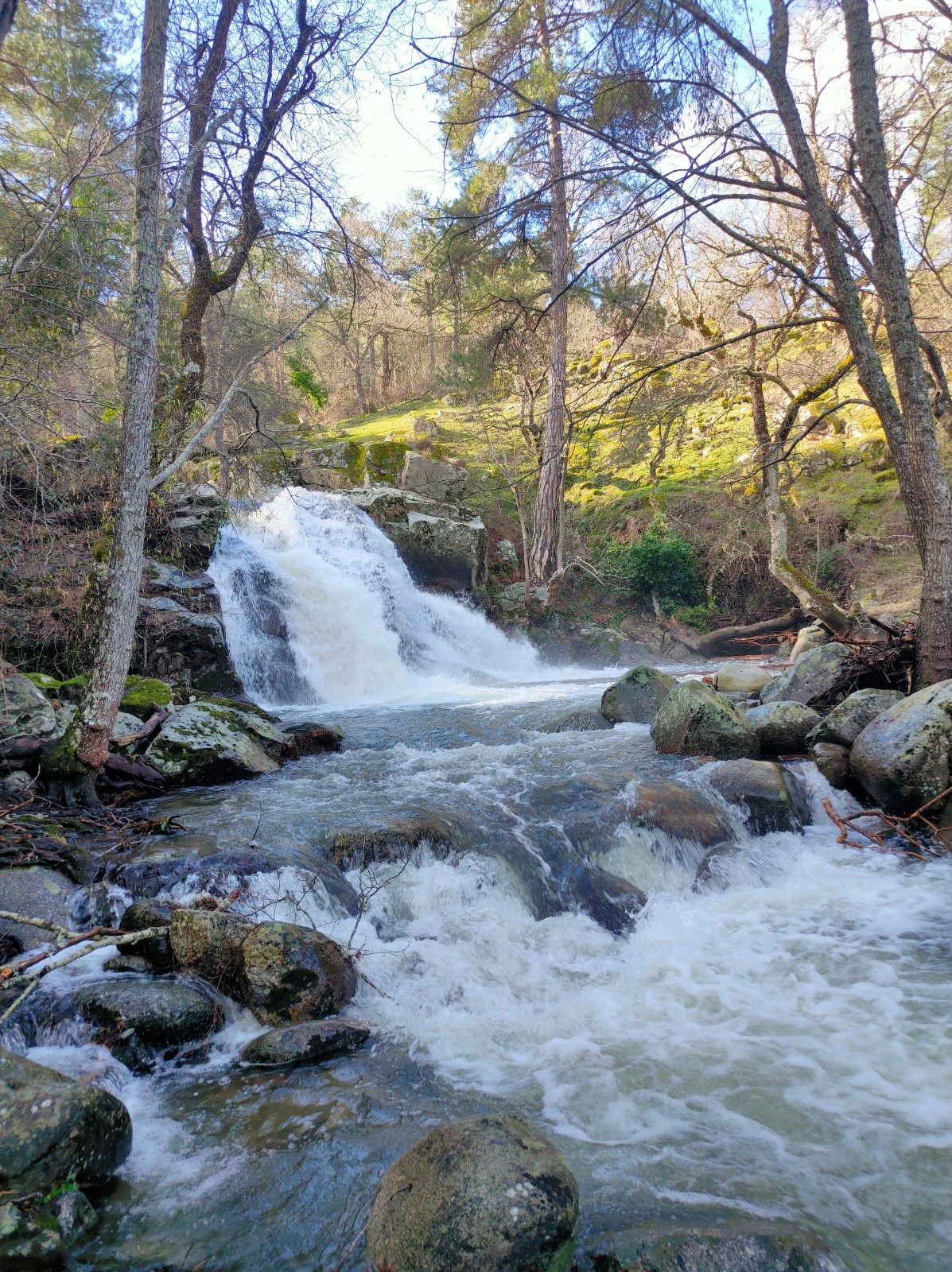 Los paisajes del agua en el Valle de Iruelas