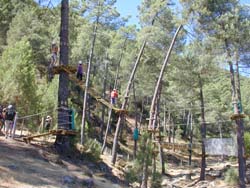 Apertura del Parque de Aventuras en Árboles “El Risquillo”