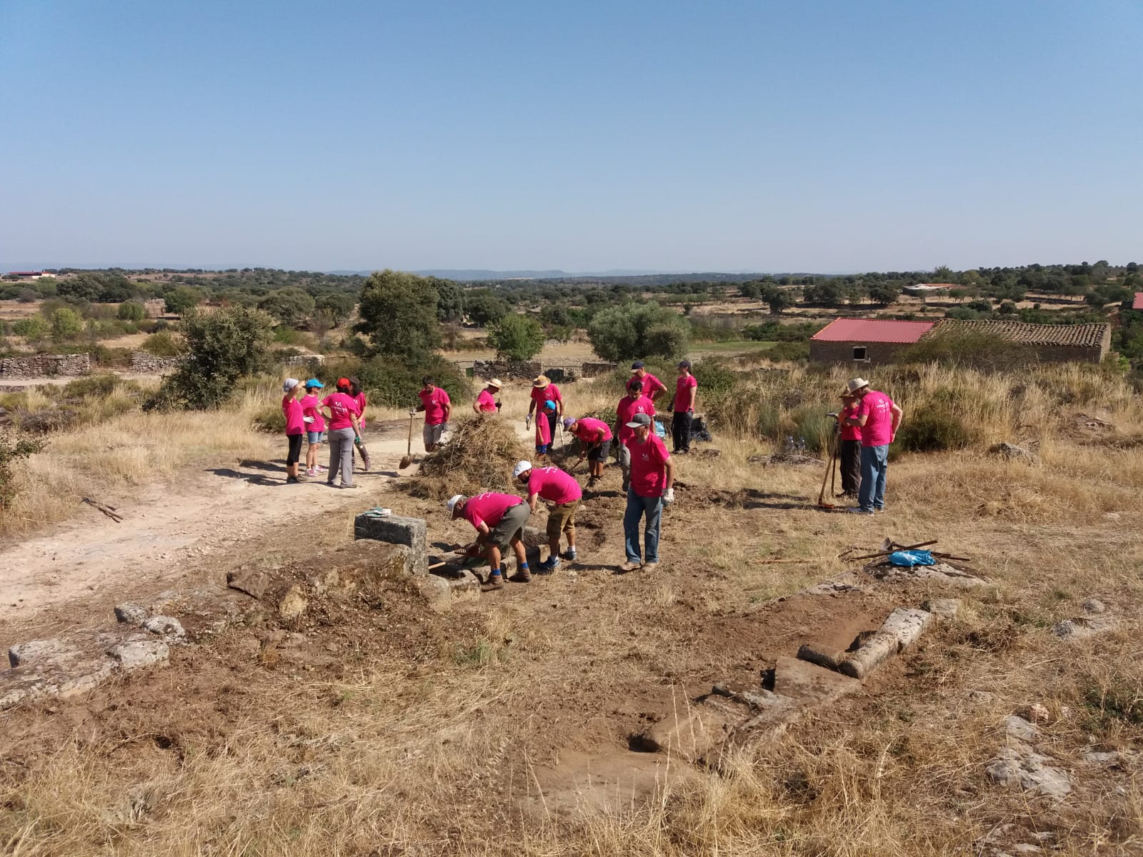 Voluntariado Ambiental