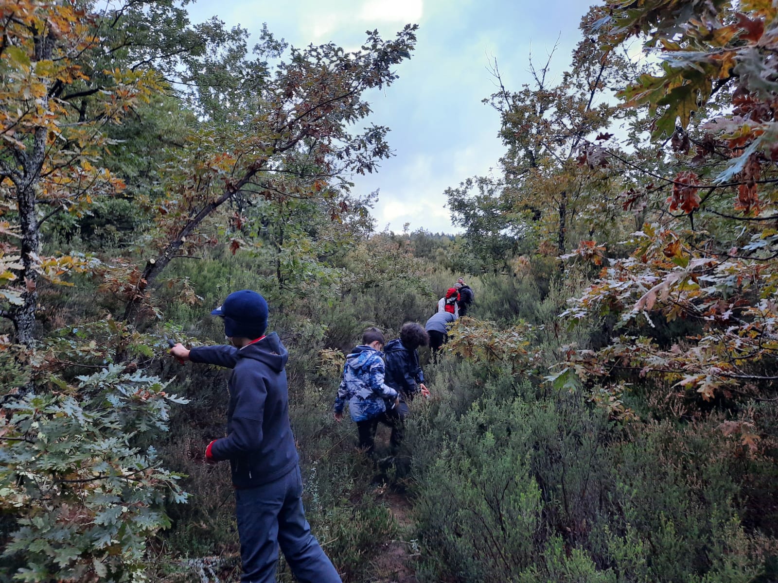 Jornada de voluntariado ambiental