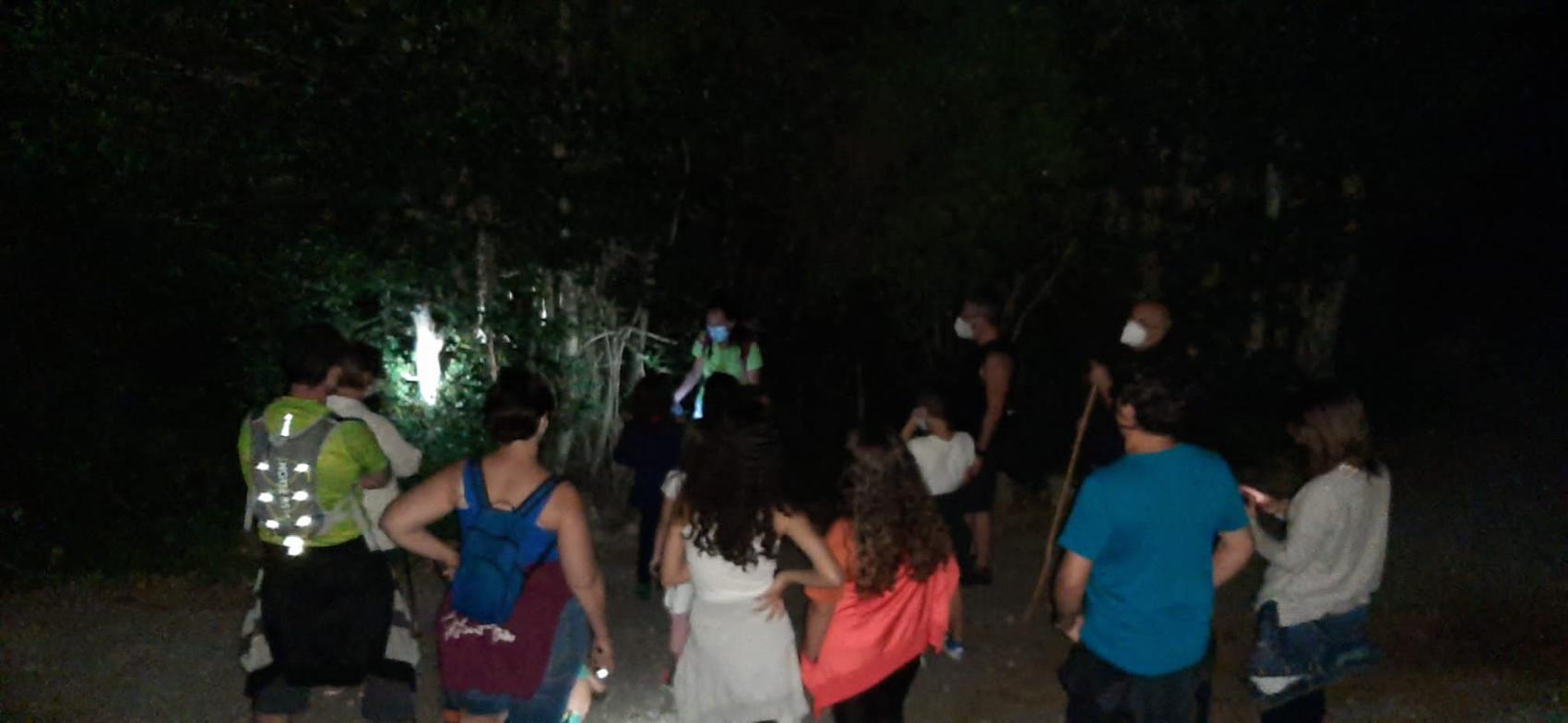 Ruta nocturna por el acebal de garagüeta