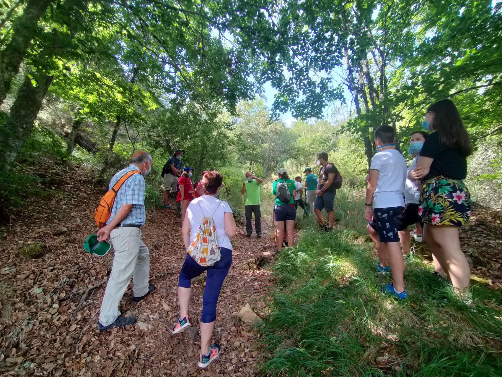 Pardomino, el bosque de los 365 valles