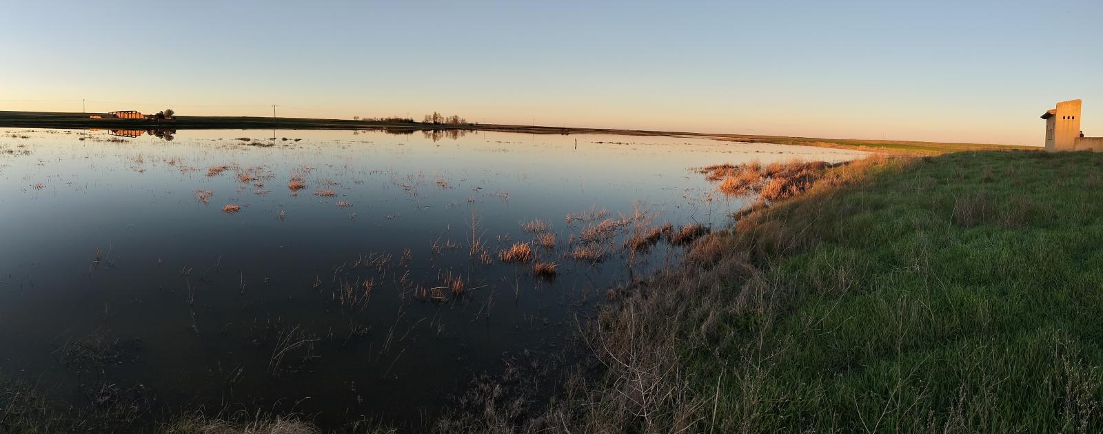 Las lluvias de las últimas semanas permiten disfrutar de las lagunas de Villafáfila en su máximo esplendor