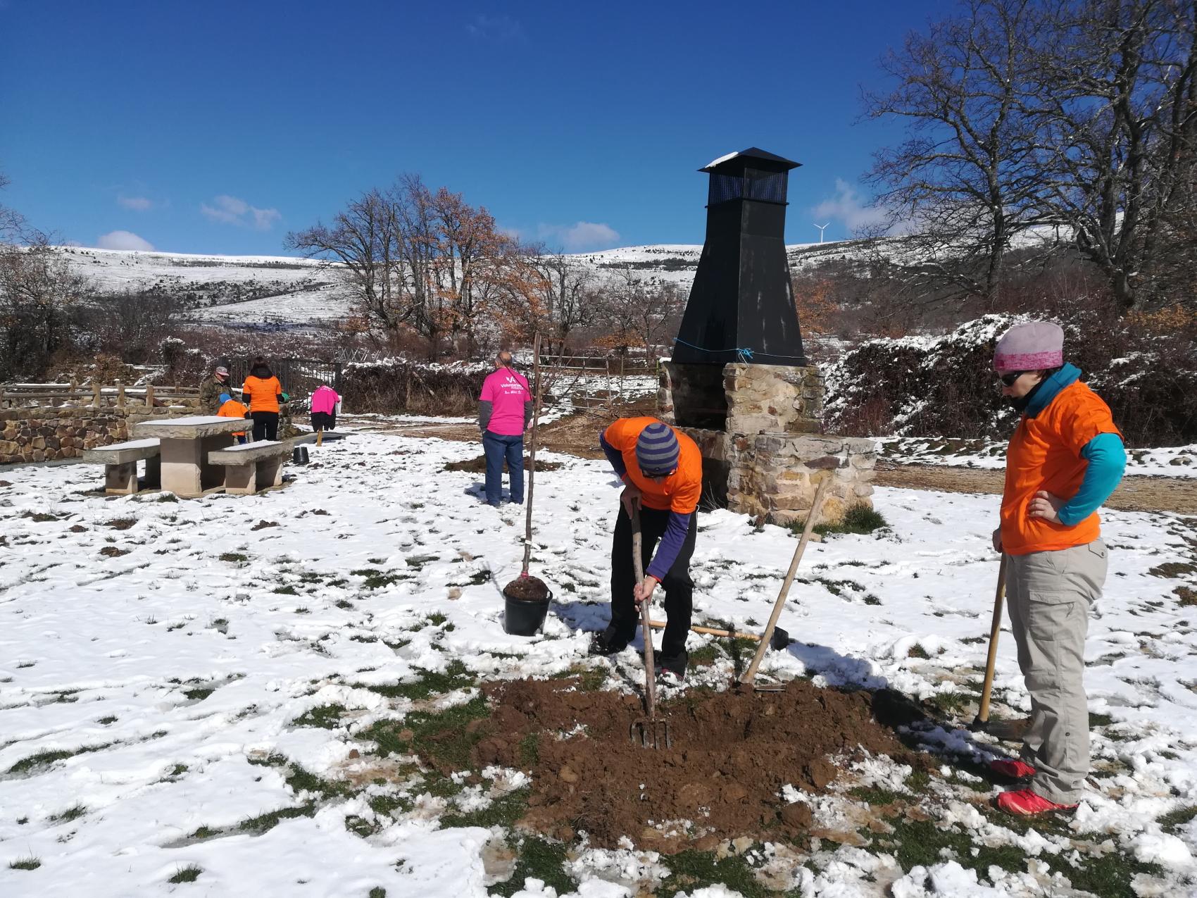Voluntariado ambiental "celebración del día del árbol)