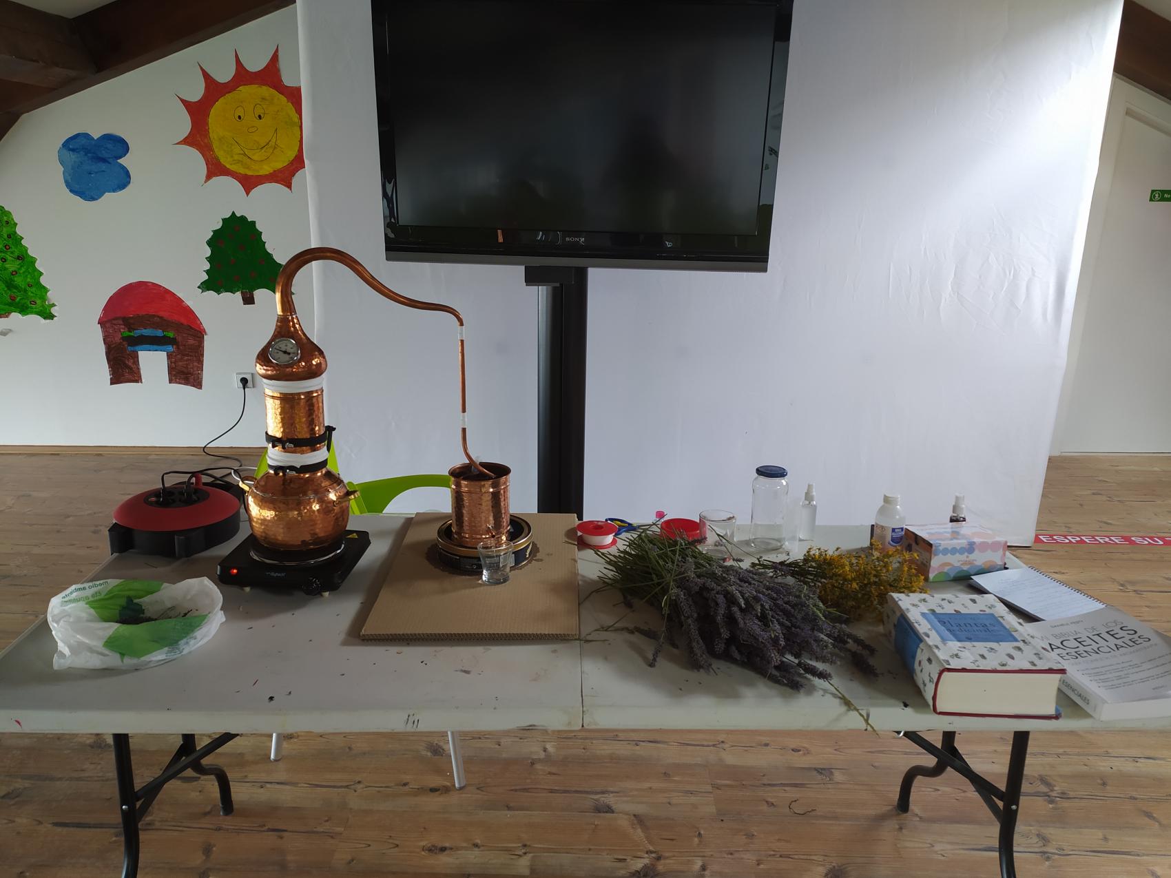Destilación de lavanda con alambique