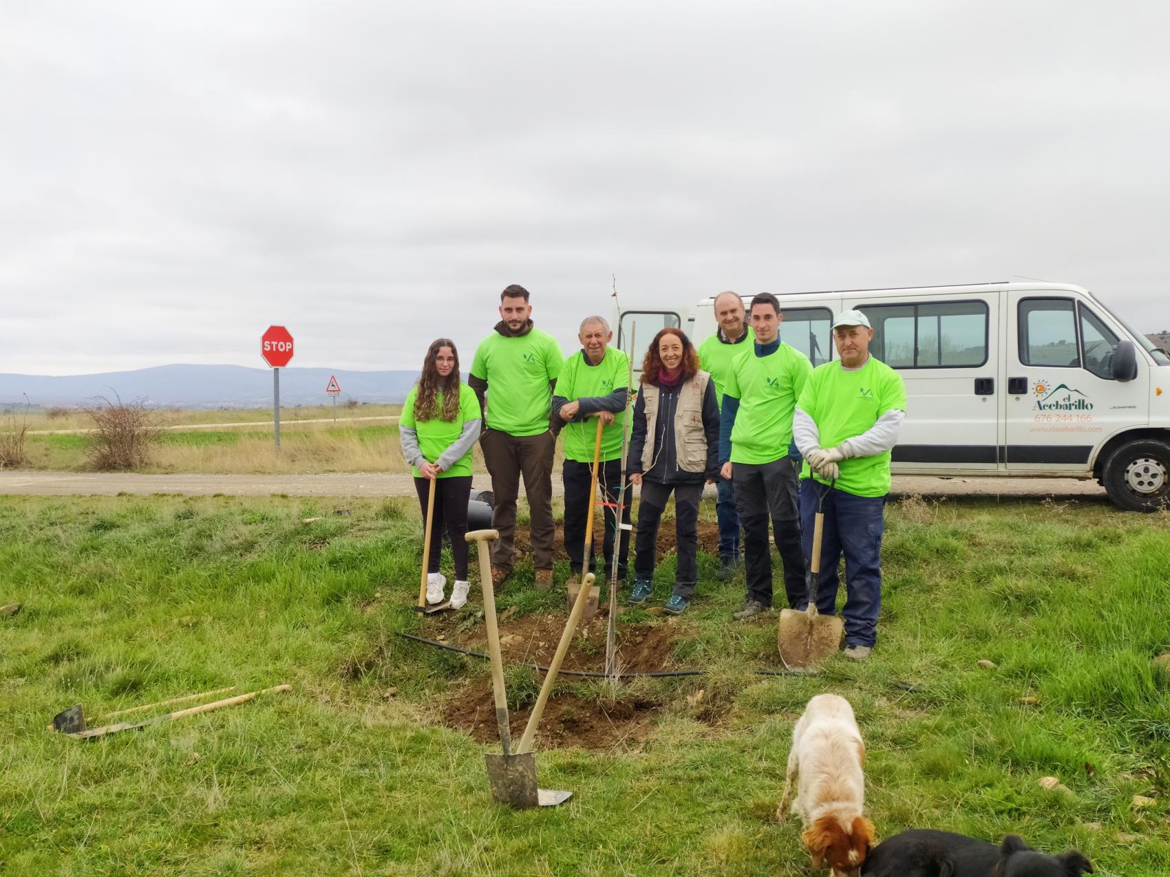 Voluntariado ambiental "dia del árbol"