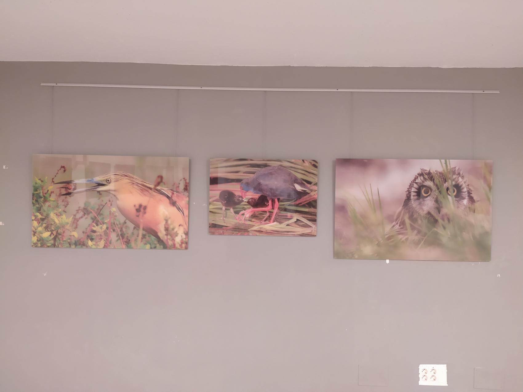 Exposición fotográfica "soria en tres miradas"