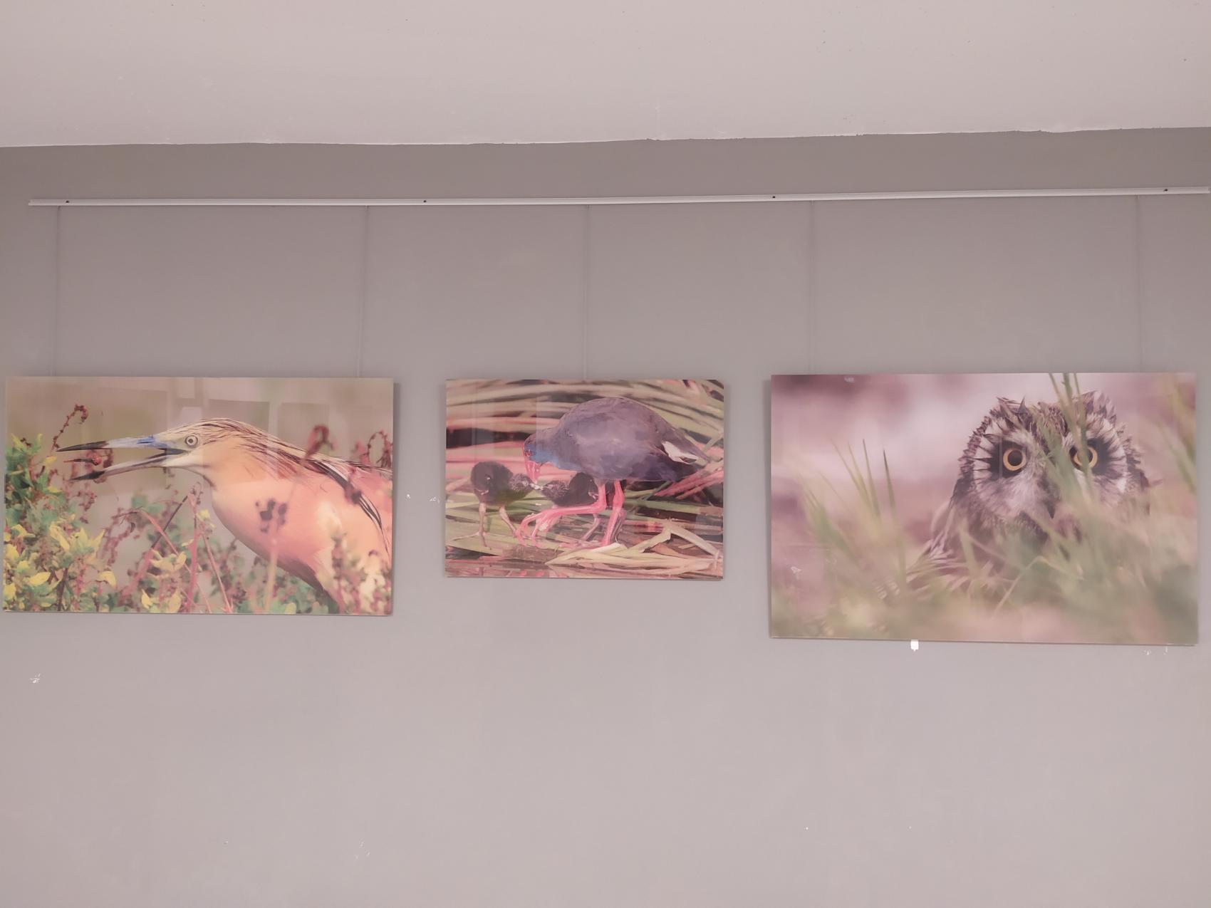 Exposición de fotos "soria en tres miradas"
