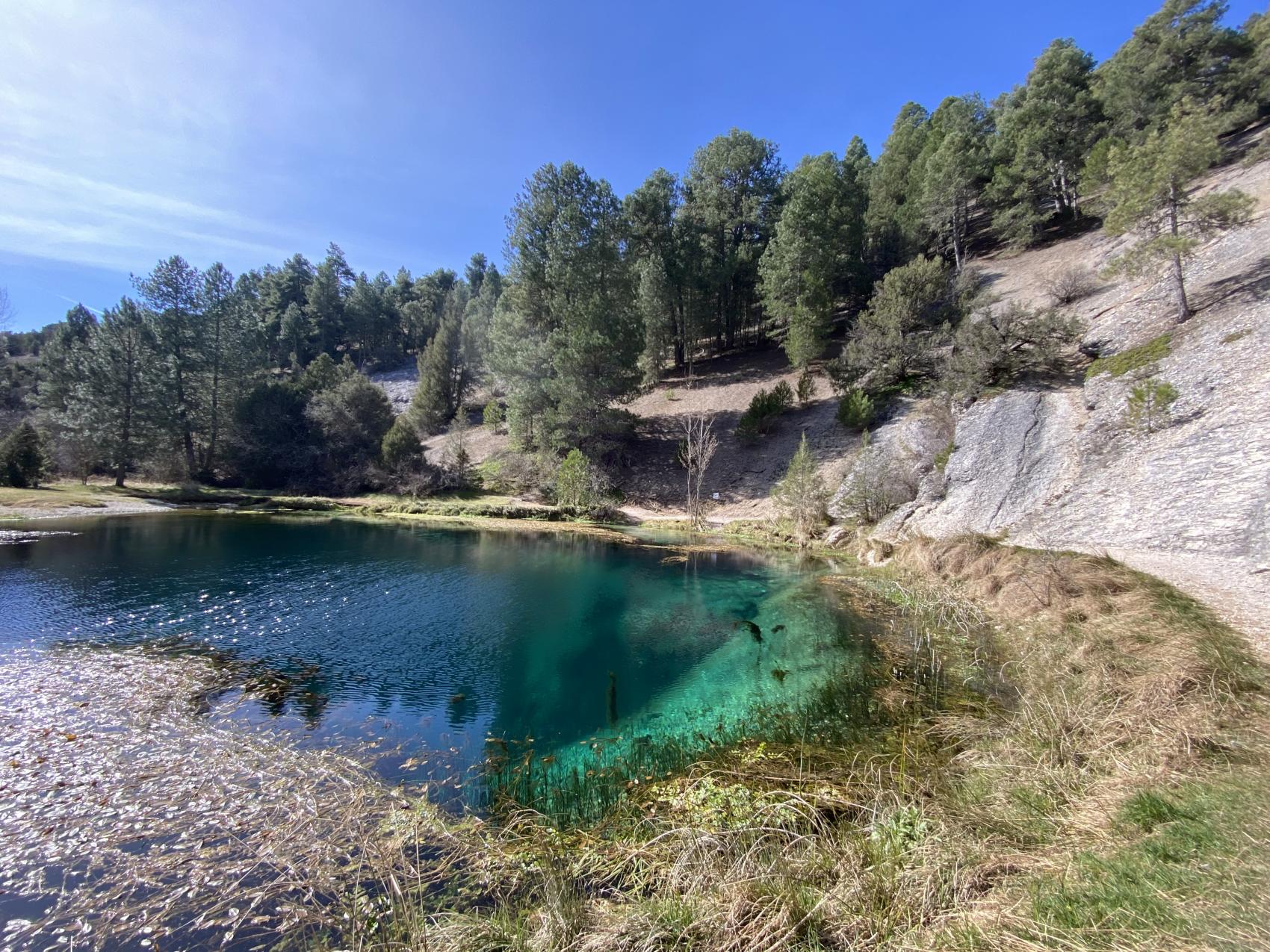 Voluntariado ambiental. Limpieza de senda