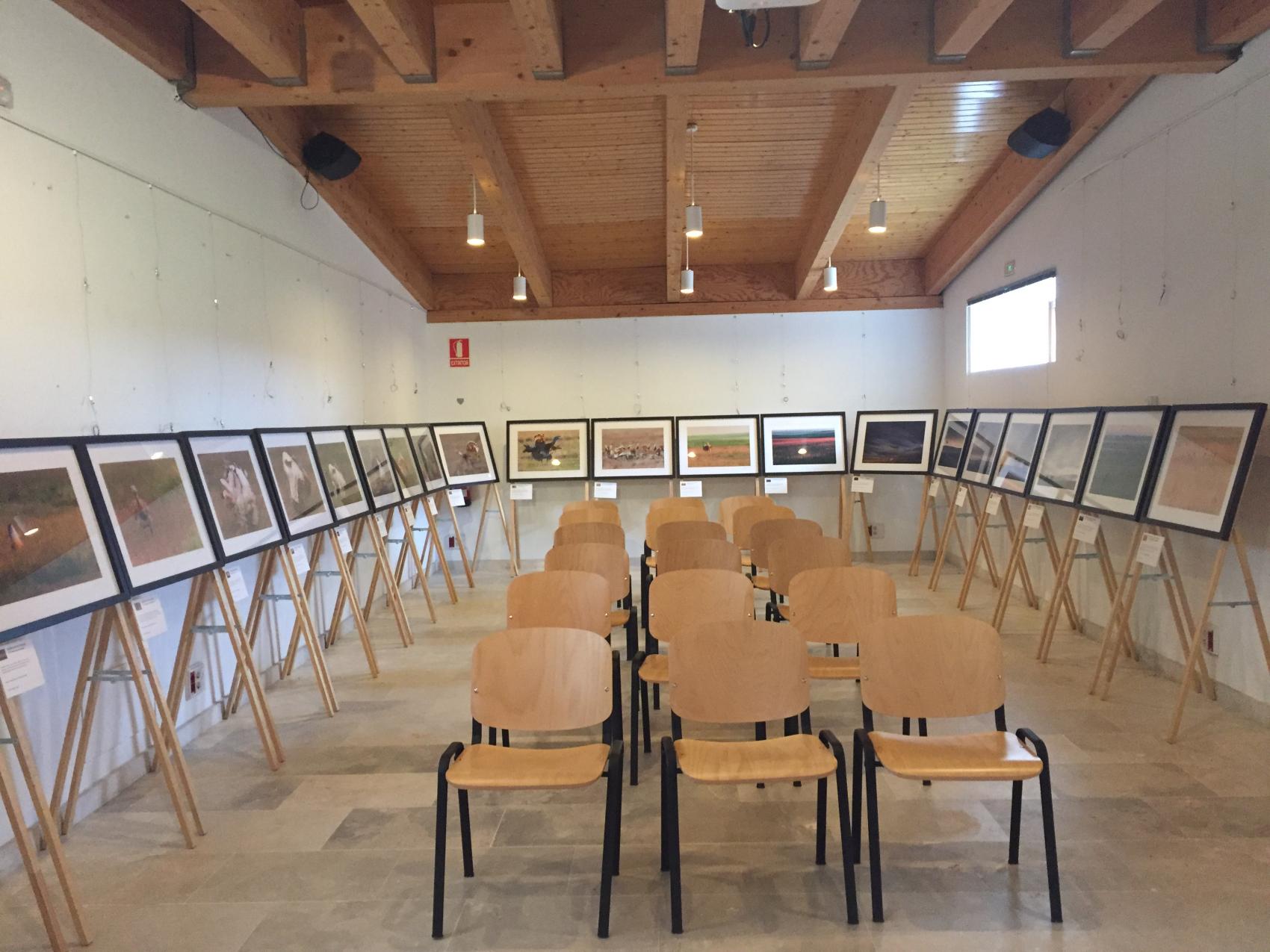 Exposición de fotografía "tierra de avutardas"