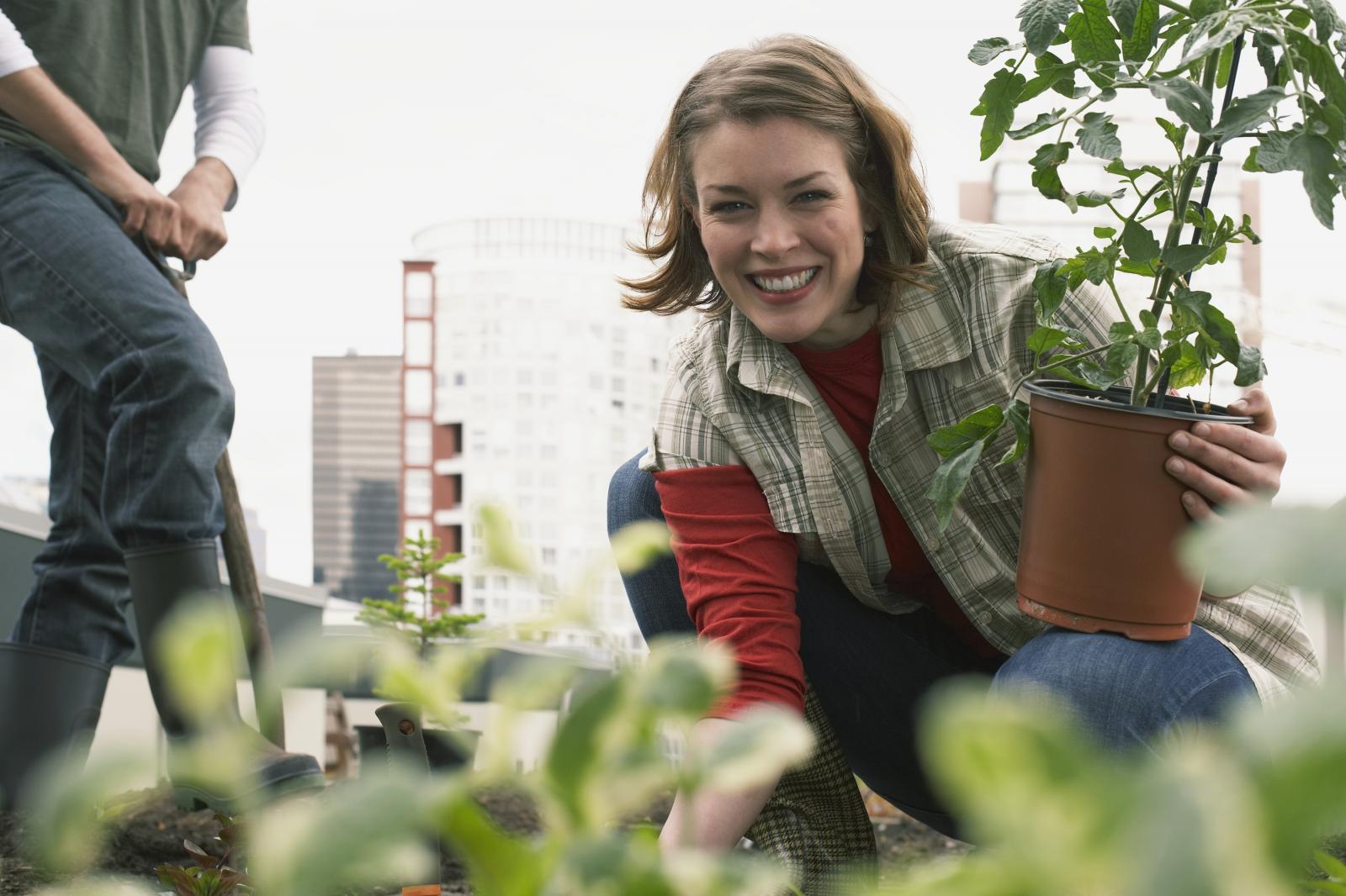 Jornada on-line de diseño de un plan de acción en agricultura urbana