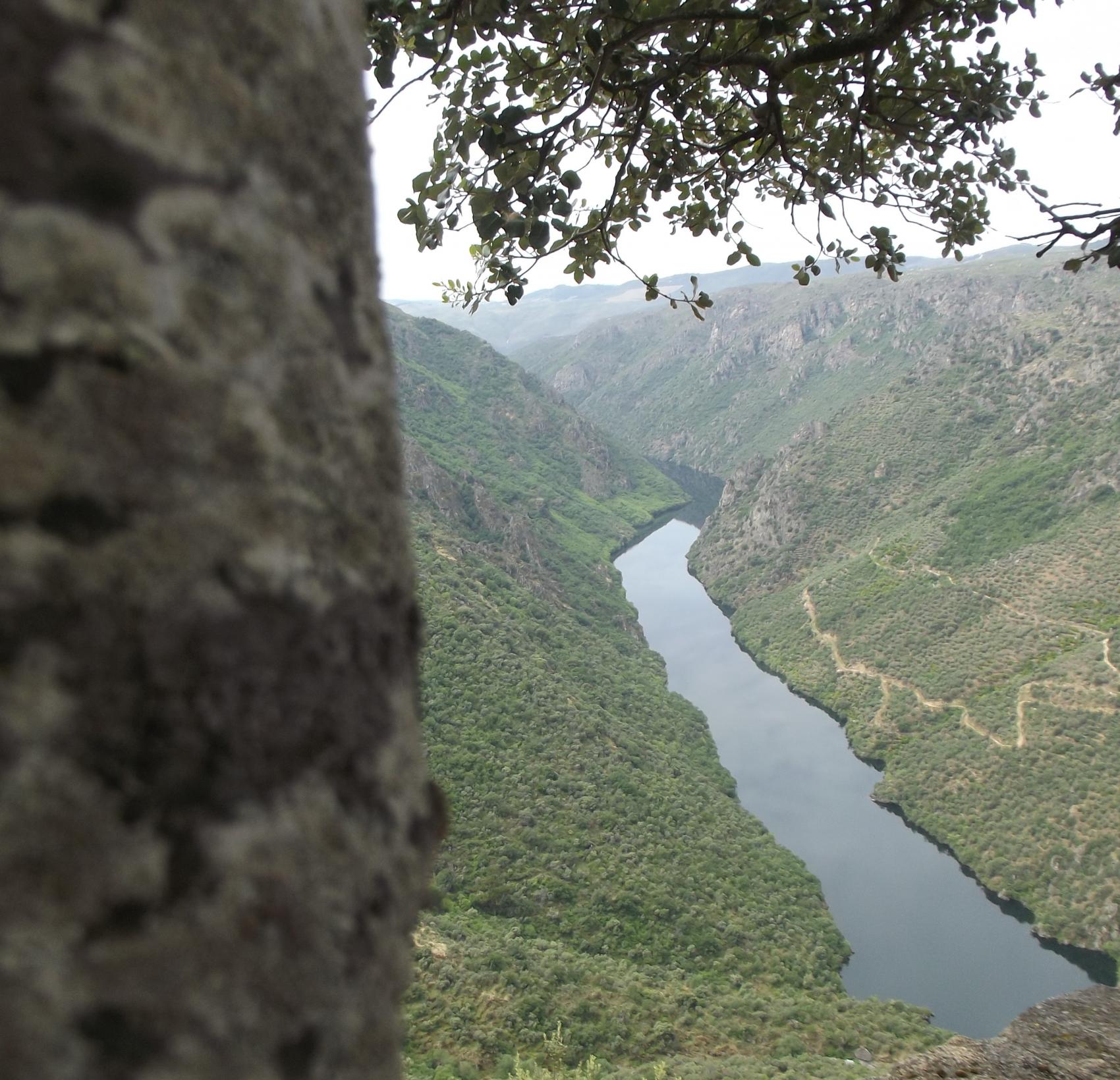 La code: el mirador de los sentidos