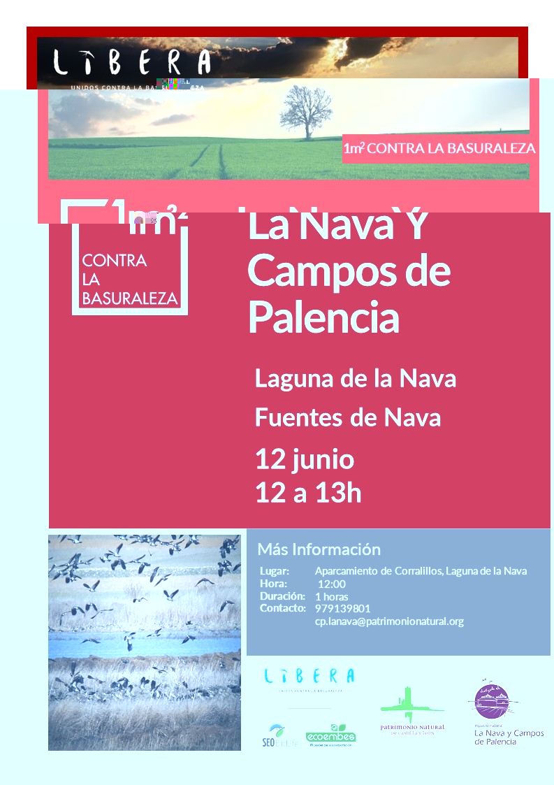 Proyecto Libera