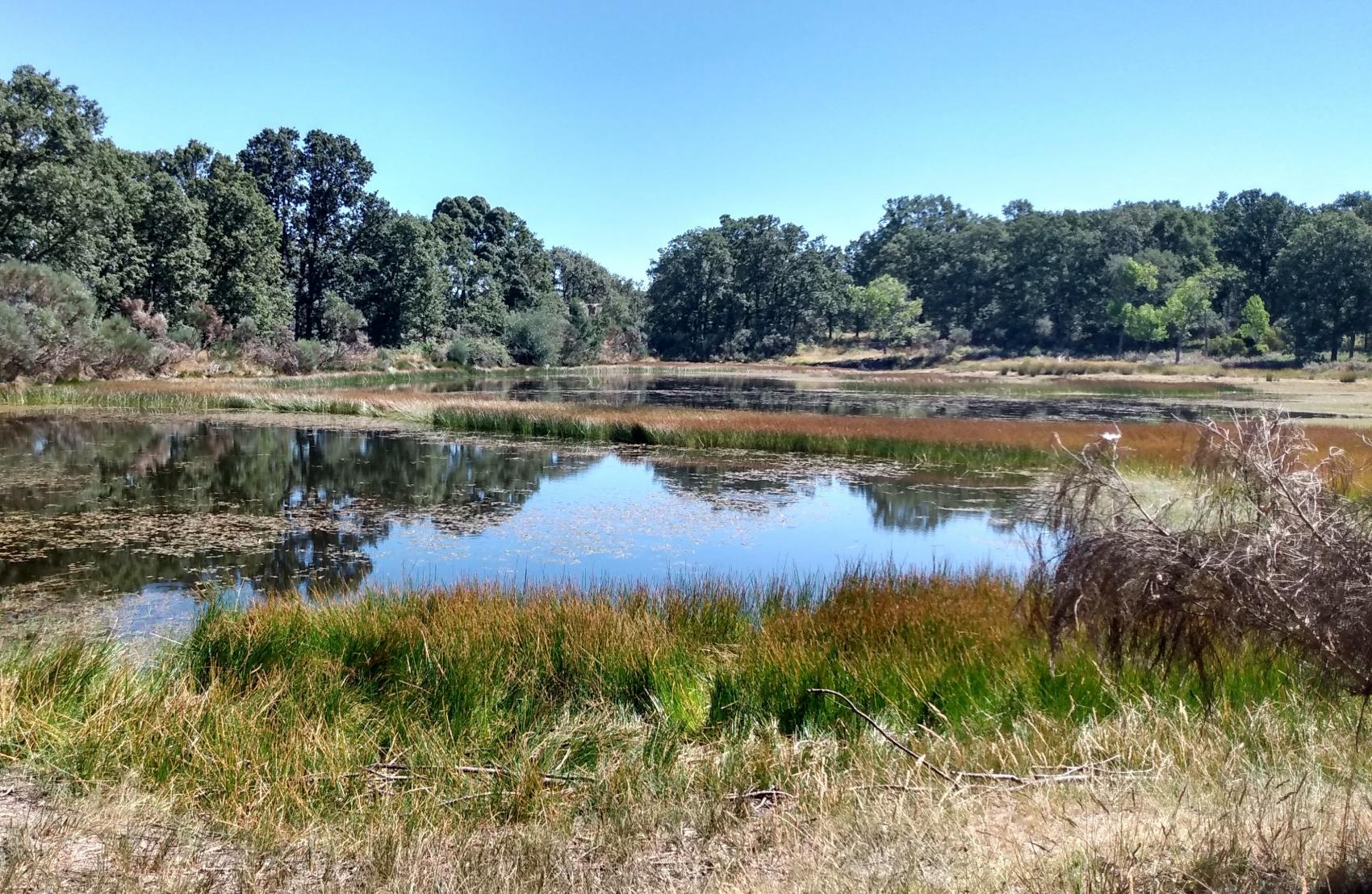 EXPERIENCIAS EN LA NATURALEZA Acompáñanos a conocer el bosque a través de una senda interpretada 25/08/2023