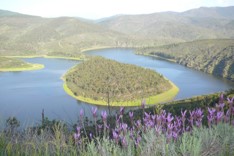 Actividades abril 2024