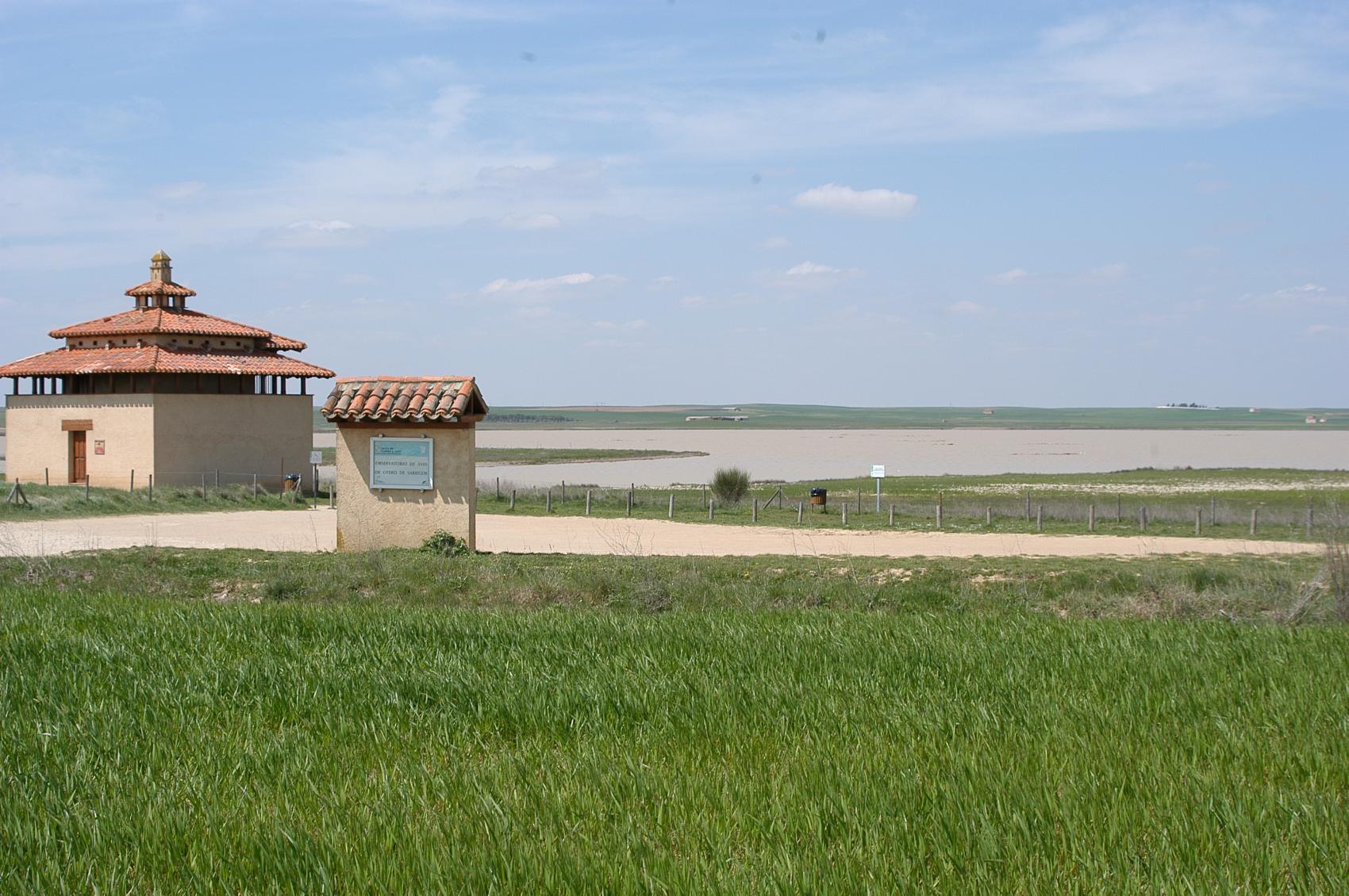 1 m2 contra la basuraleza