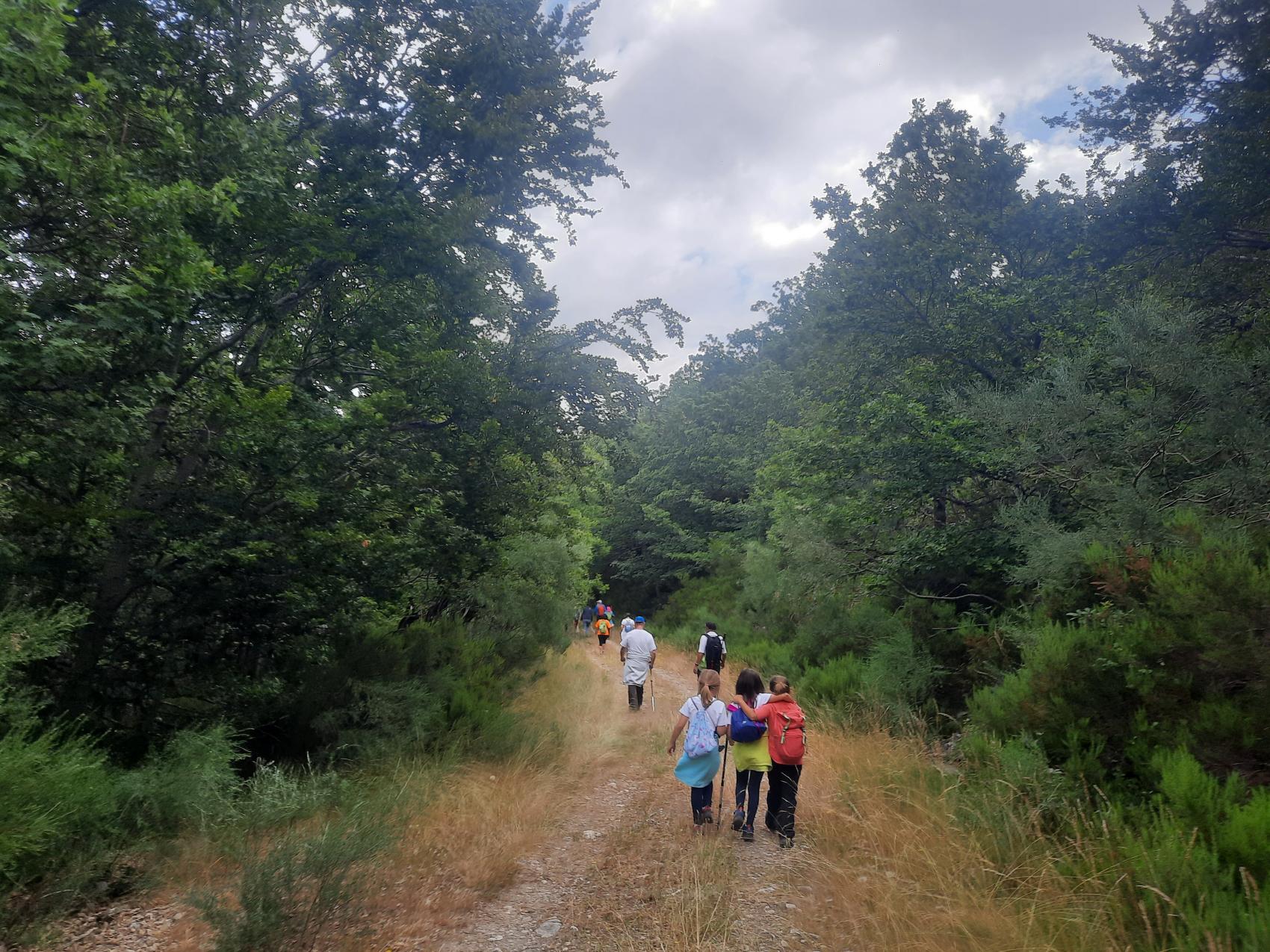 Ruta guiada a Pardomino, el bosque de los 365 valles