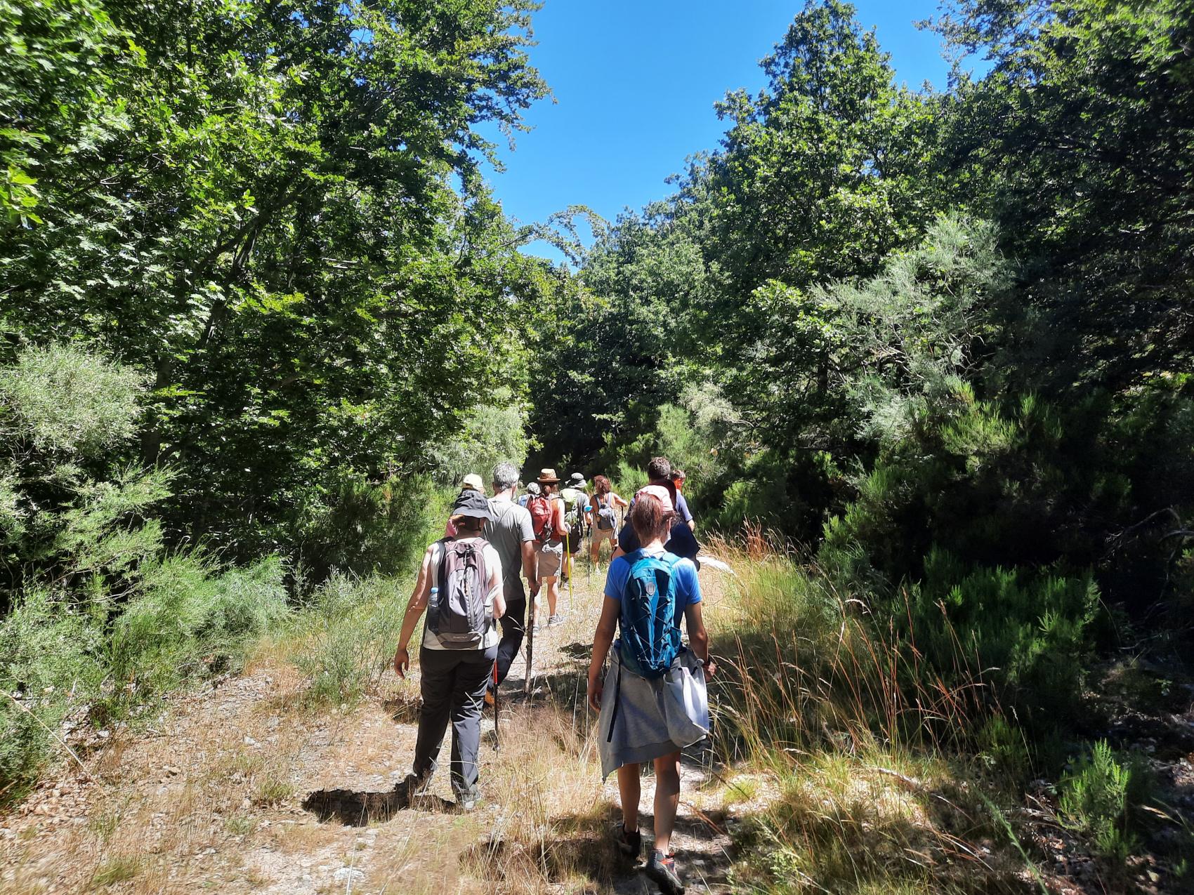 Ruta guiada a Pardomino, el bosque de los 365 valles