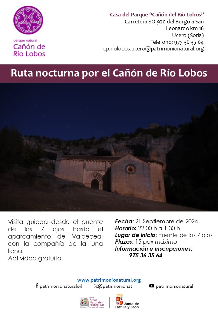 Ruta nocturna cañón del rio lobos