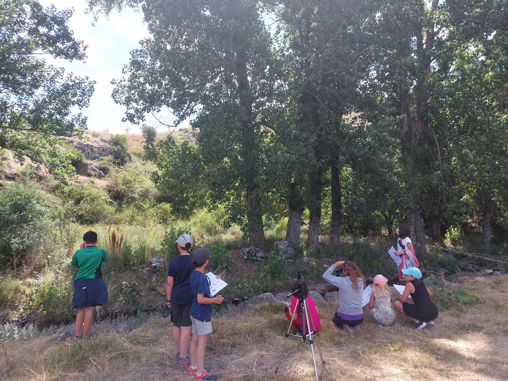 Talleres de educación ambiental