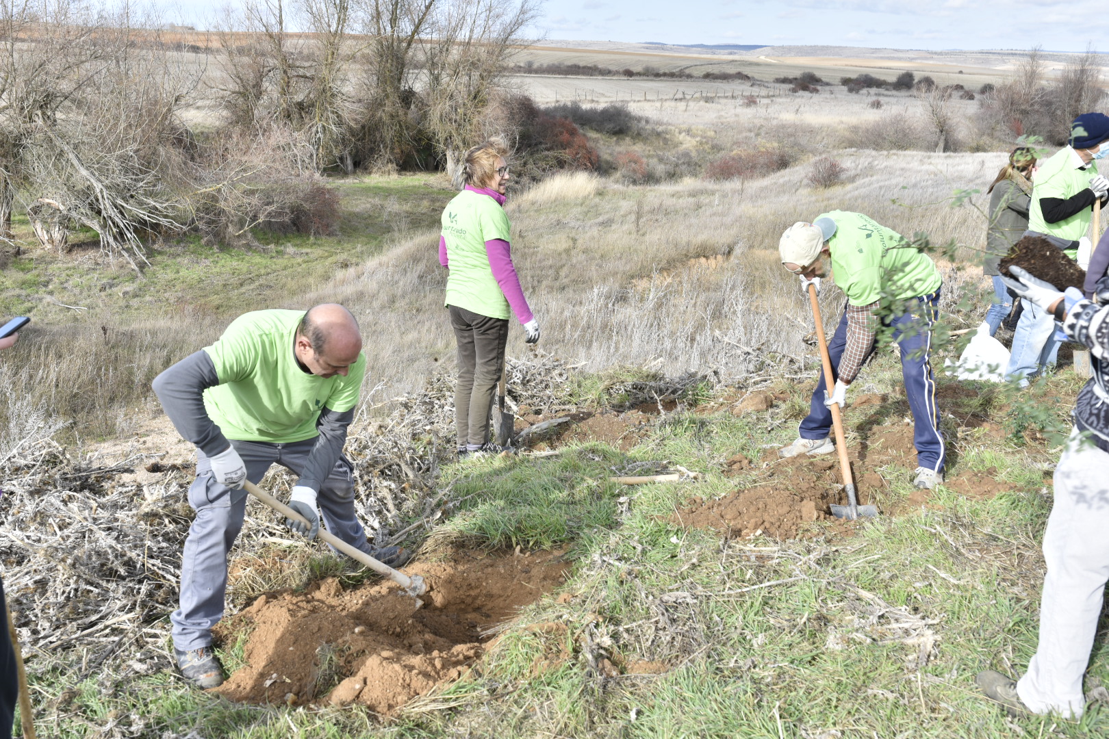 Voluntariado de plantación en maderuelo